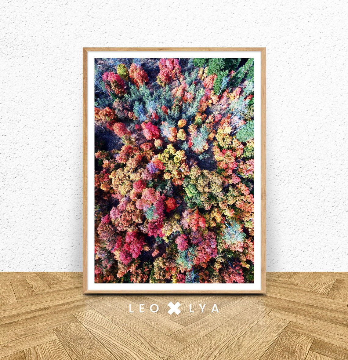 Autumn Forest Aerial Colorful Fall Foliage Drone Photo Poster Art