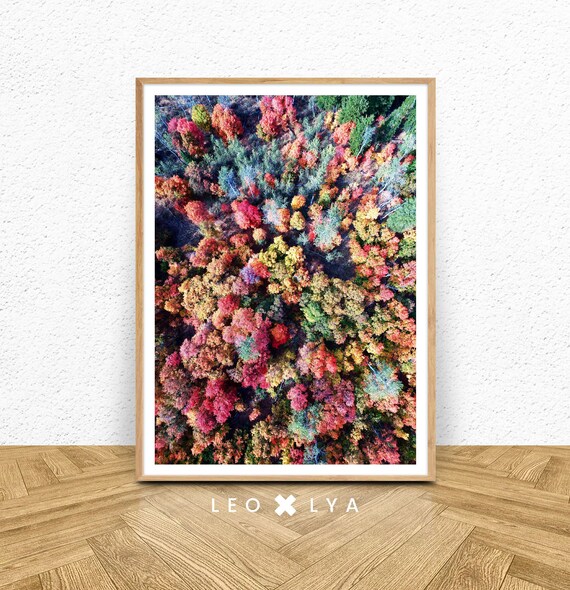 Autumn Forest Aerial Colorful Fall Foliage Drone Photo Poster Art