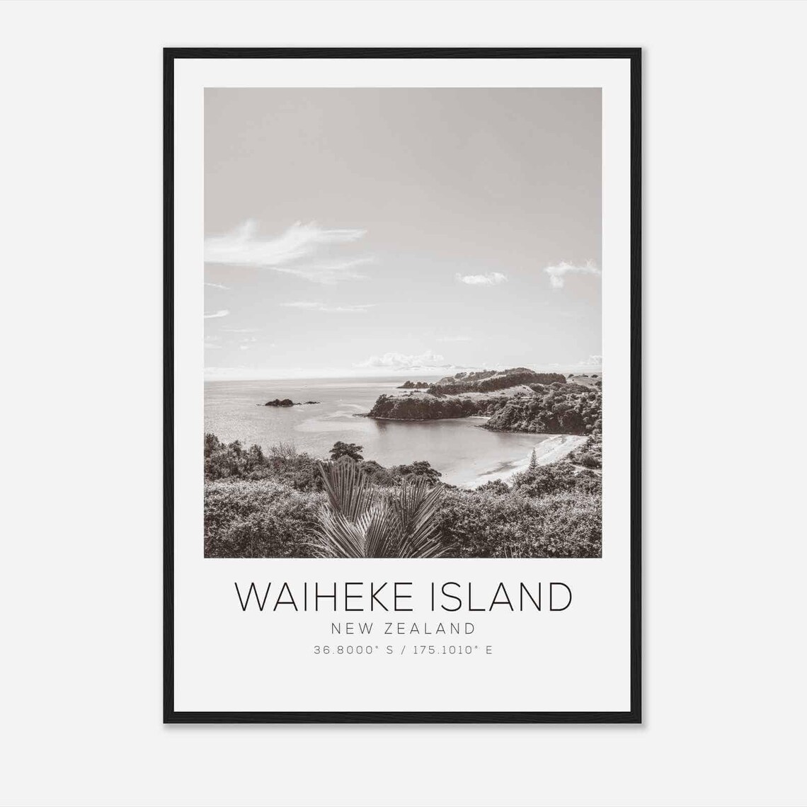 Waiheke Island New Zealand Coastal Bay Black and White Poster
