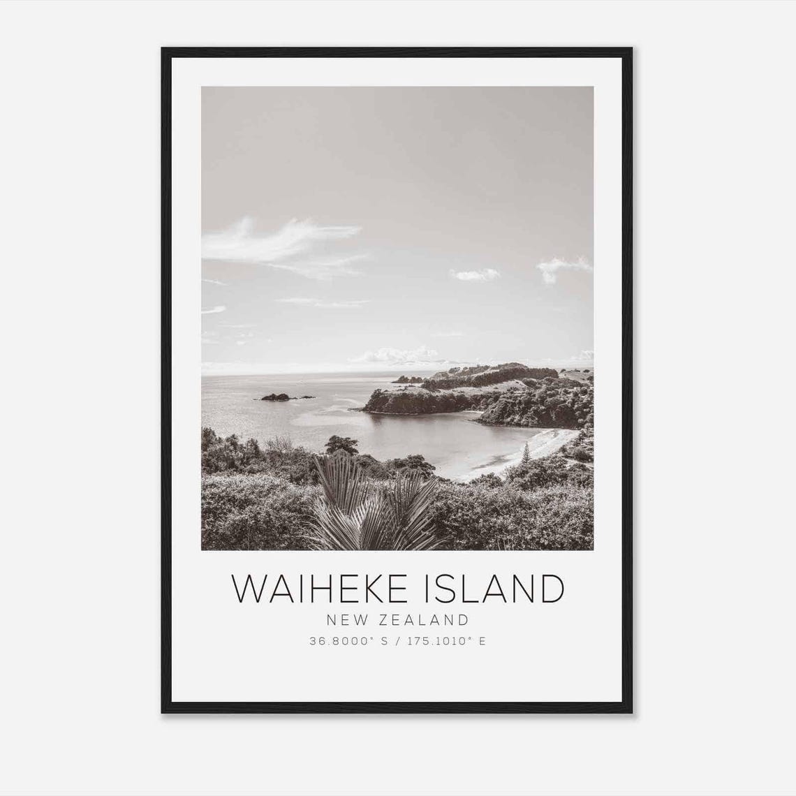 Waiheke Island New Zealand Travel Photo Poster Bw Waiheke Island Travel Print Minimalist Travel Poster Print