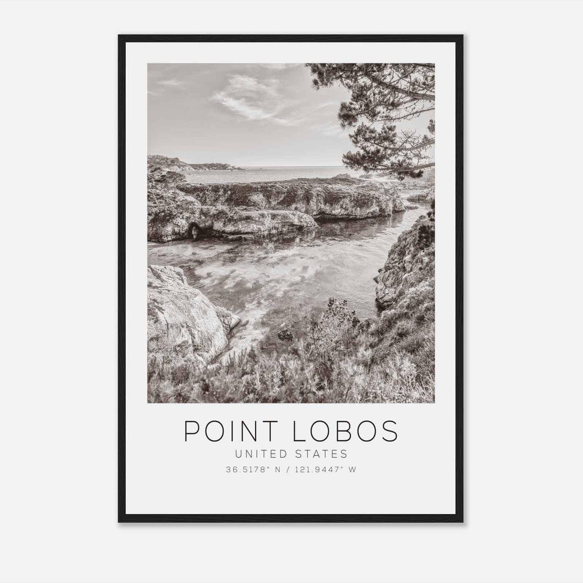 Point Lobos California Rocky Cove Cypress Coast Black White Poster