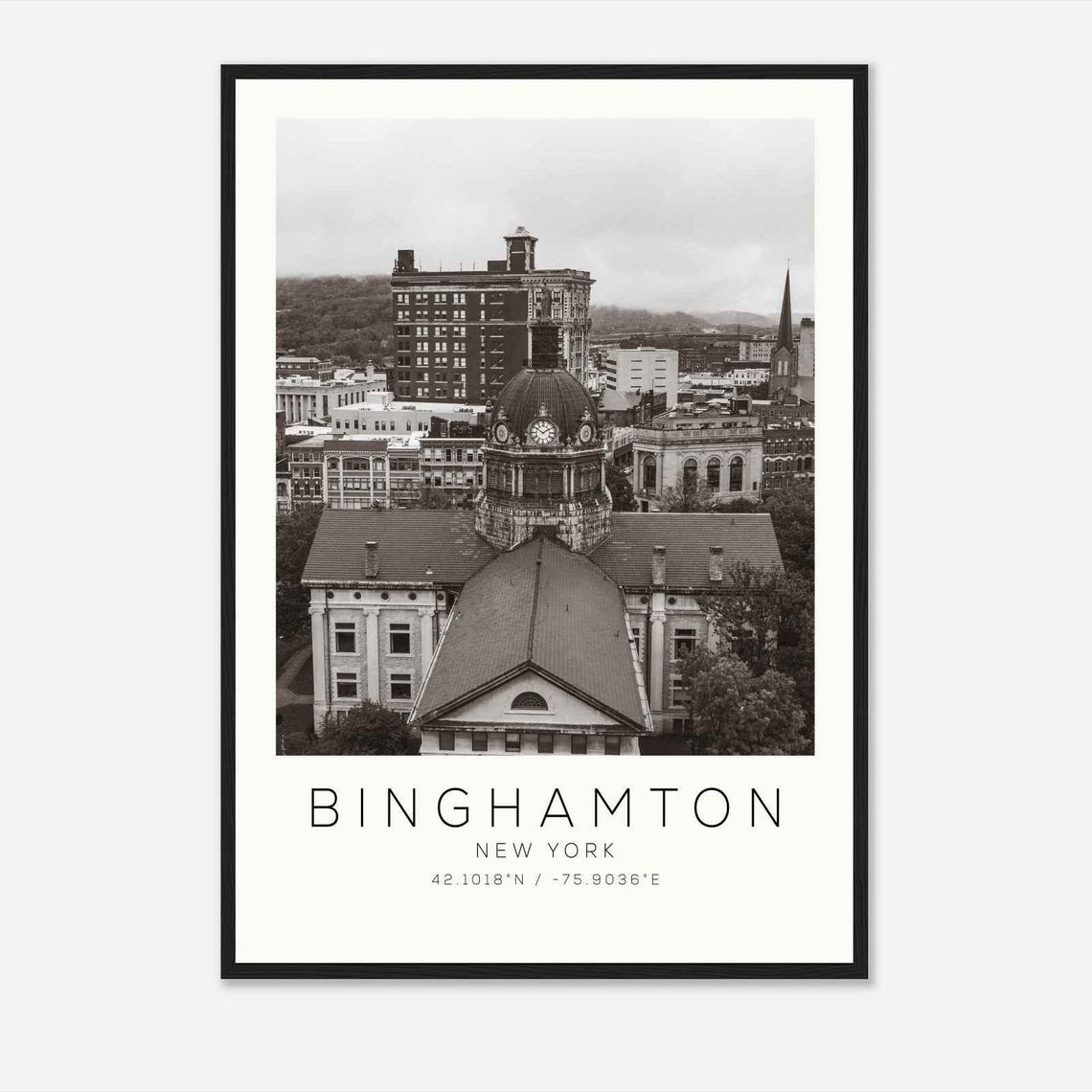 Binghamton New York Domed Courthouse Aerial Black White Travel Poster