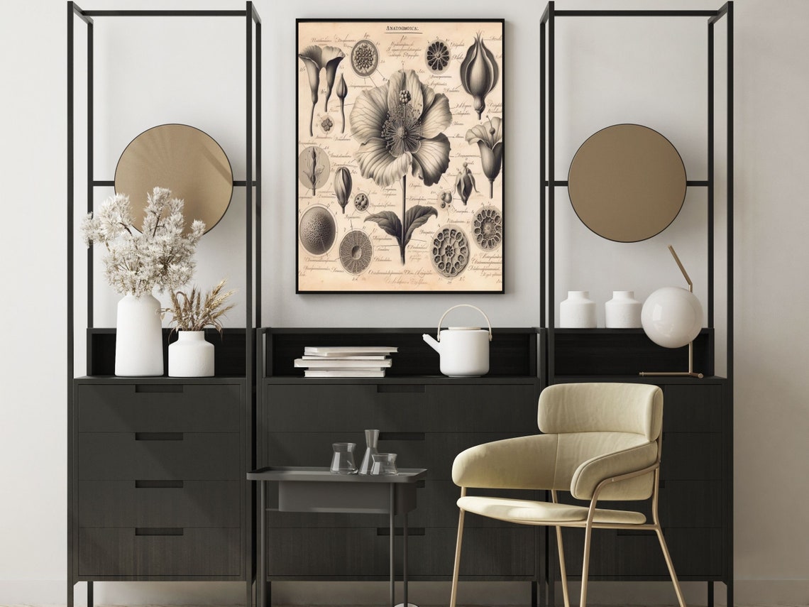 Antique Botanical Anatomy Engraving Of Flower Dissection Poster - Image 4