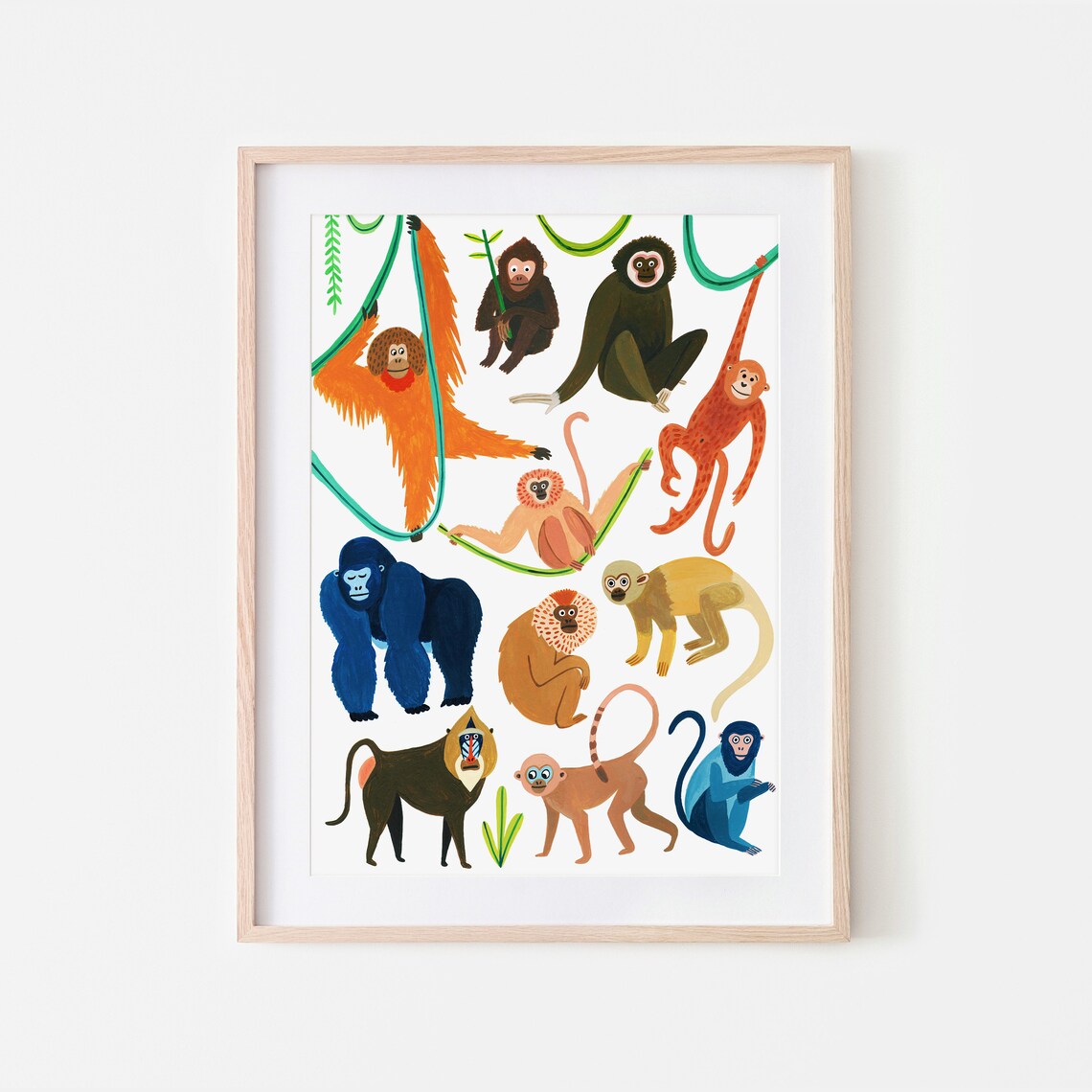 Monkey Species Botanical Illustration Art Print