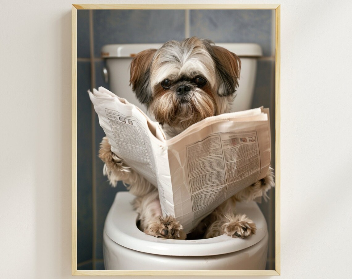 Shih Tzu Reading a Newspaper on the Toilet Funny Color Dog Poster