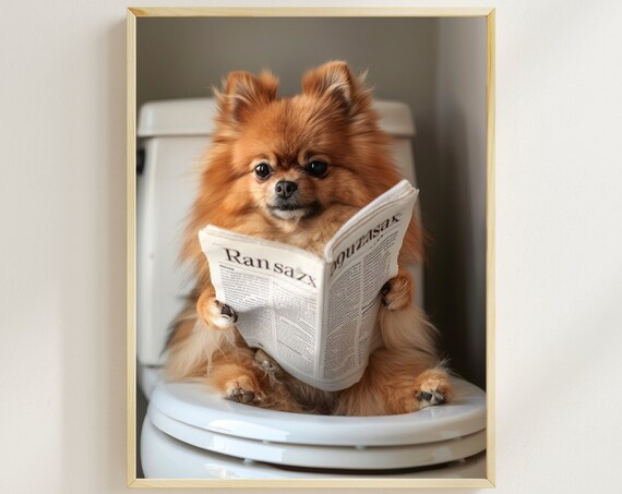Pomeranian Sitting On The Toilet Reading A Newspaper Funny Bathroom Wall Decor Funny Animal Print Home Printables Poster Ai Art
