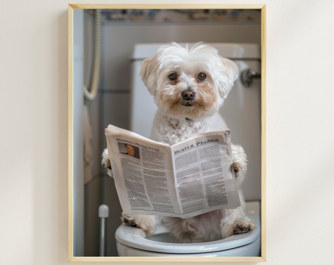 Sweet White Dog Reading Newspaper On The Toilet Bathroom Poster