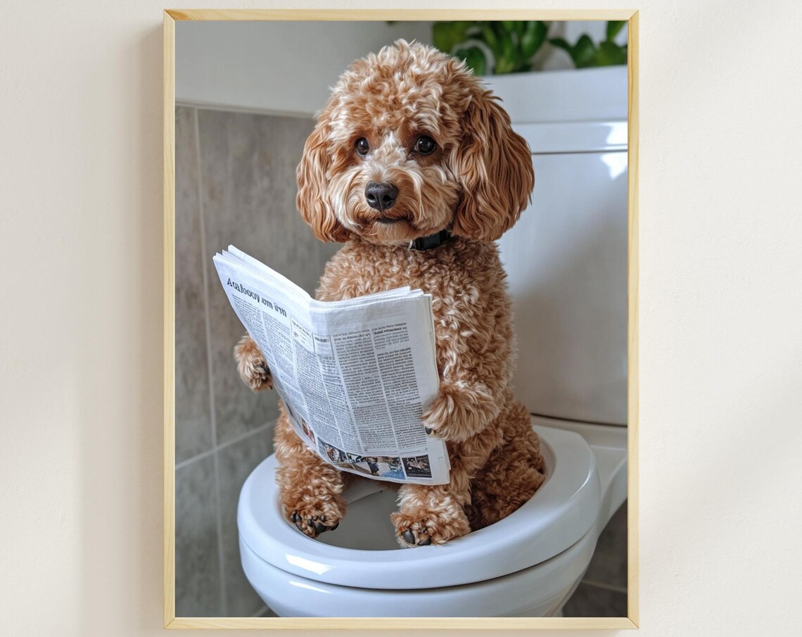 Cockapoo Puppy Reading Newspaper On Toilet Funny Dog Bathroom Poster