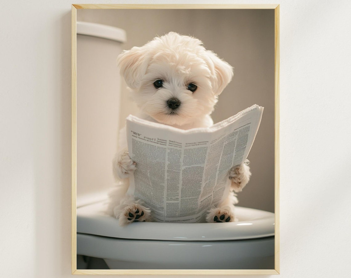 Maltese Puppy on the Toilet Reading Newspaper Cute Dog Poster