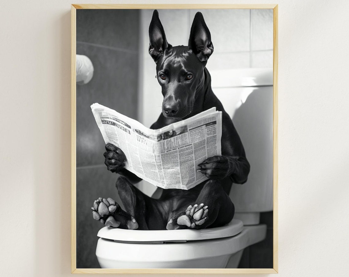Doberman on the Toilet Reading Newspaper Funny Bathroom Poster