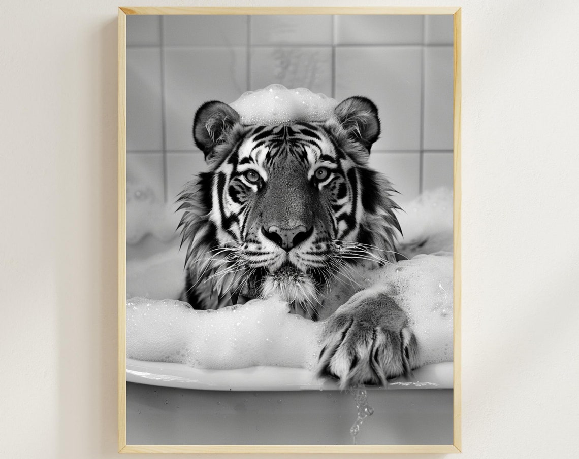 Tiger Bubble Bath Funny Black And White Wild Animal Bathroom Poster