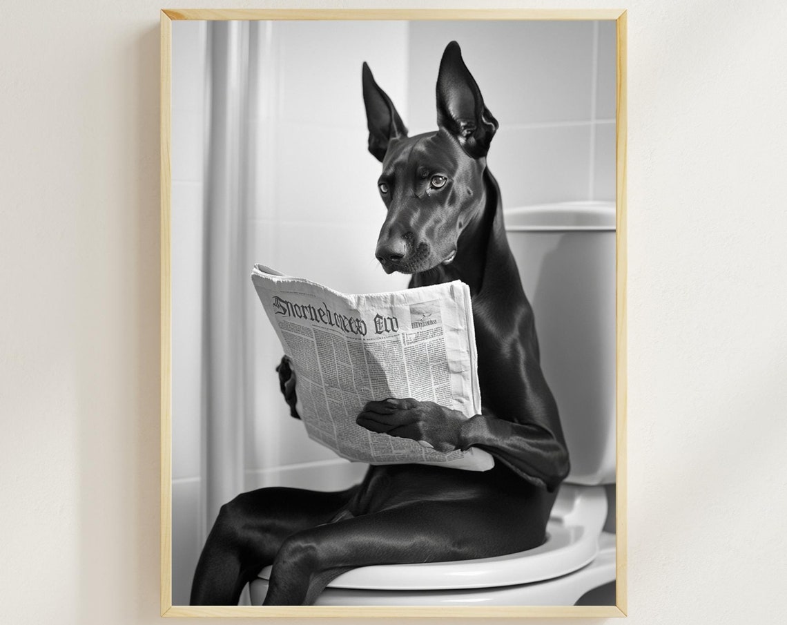 Doberman Sitting On The Toilet Reading A Newspaper Dog On Toilet Wall Art Bathroom Humor Funny Dog Art Toilet Humor Ai Art