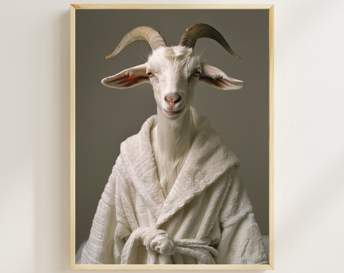 White Goat Wrapped in a Bathrobe Funny Animal Bathroom Poster