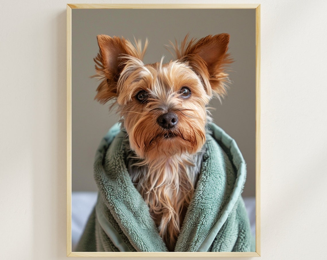 Cute Yorkshire Terrier Wrapped in Towel Spa Bathroom Wall Art