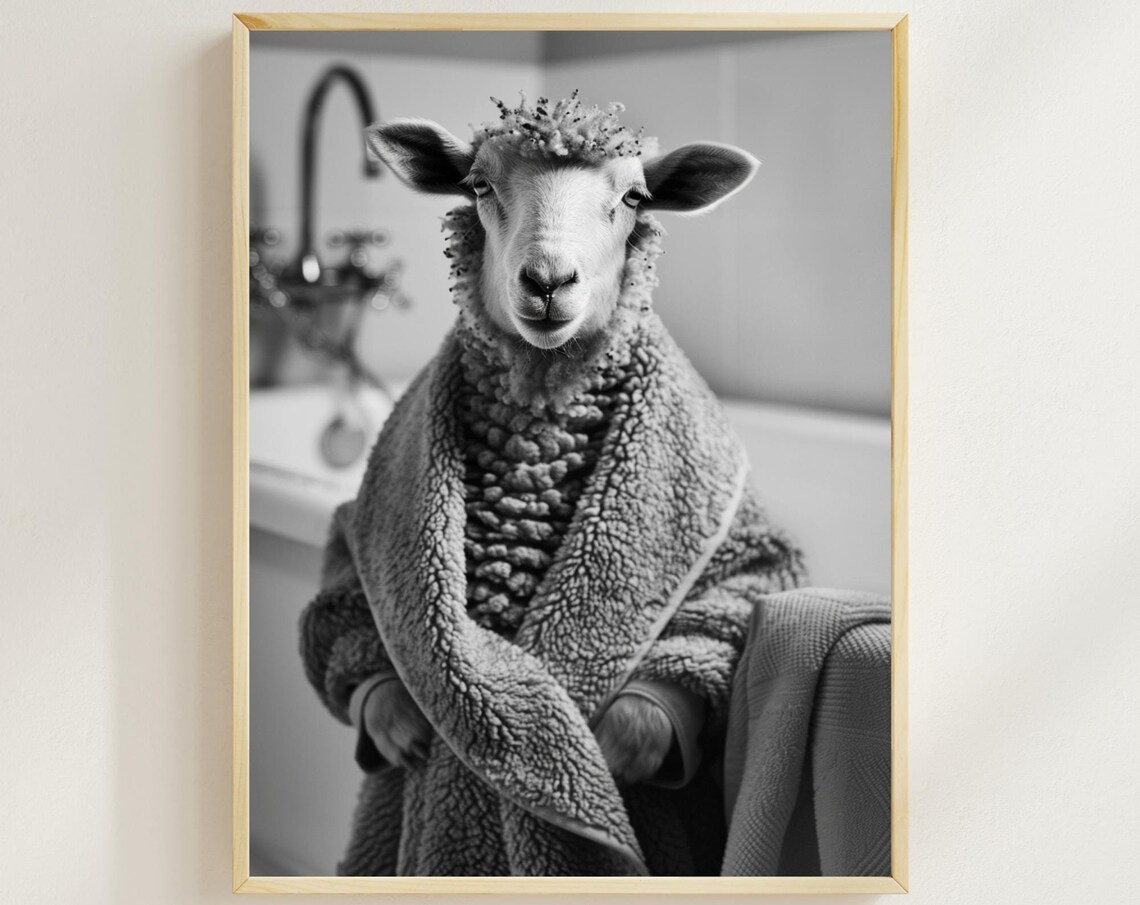 Sheep in a Cozy Fleece Robe in a Black and White Bathroom Poster