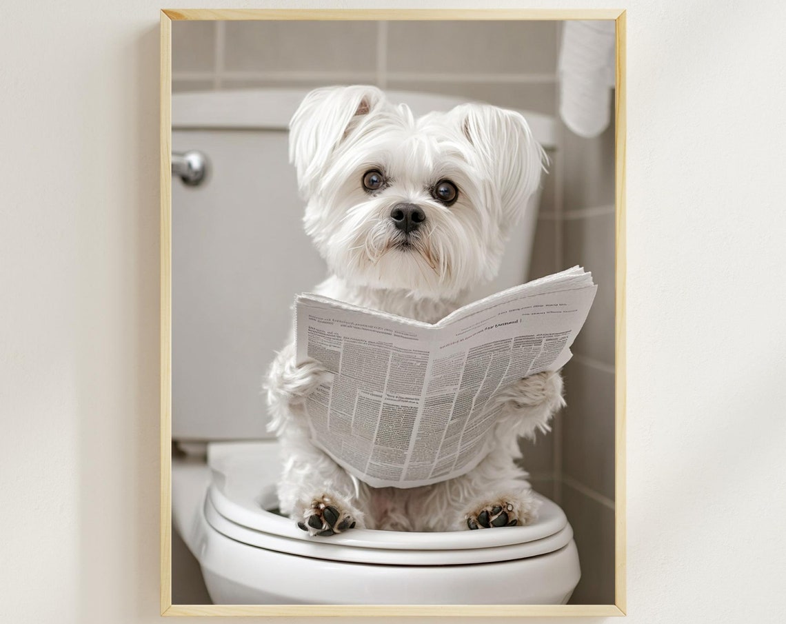 Tiny White Dog Reading Newspaper On The Toilet Bathroom Poster