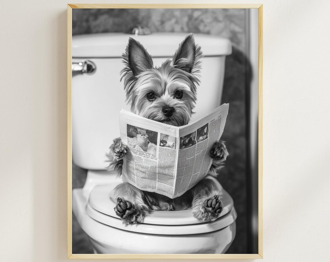 Funny Yorkshire Terrier Sitting on Toilet Reading Newspaper Poster