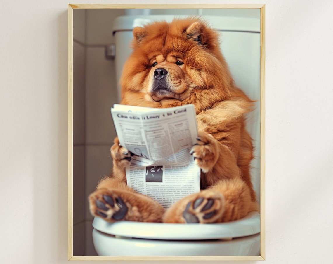Chow Chow Reading Newspaper on Toilet Funny Colorful Dog Poster