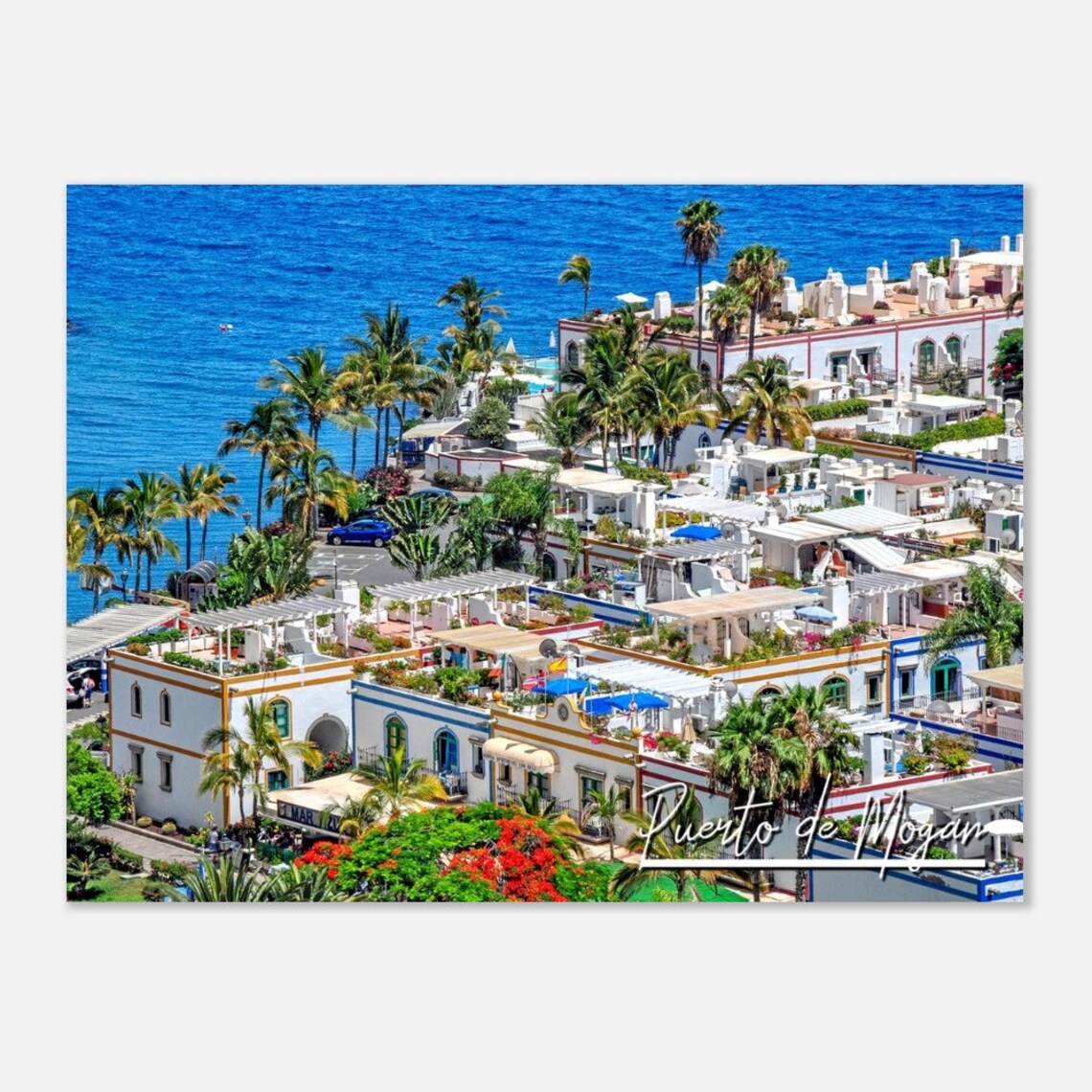 Puerto de Mogan Spain White Houses Palms Coastal Photo Poster