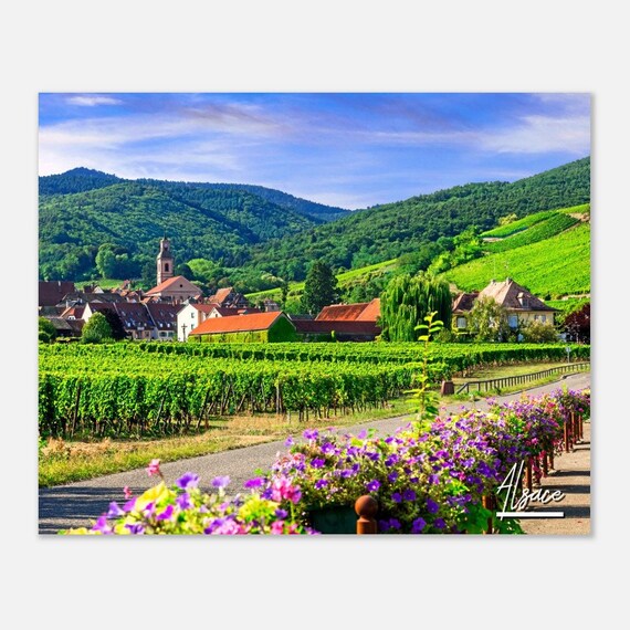 Alsace France Vineyard Village Wine Country Travel Photo Poster