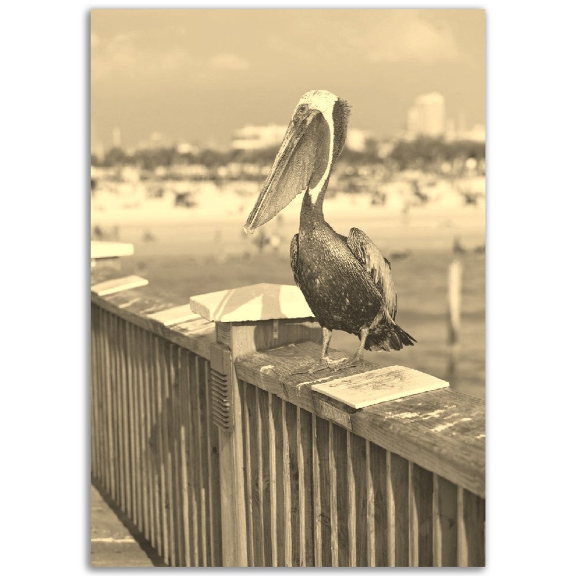 Pelican on Pier Railing Sepia Beach Wildlife Photography Poster