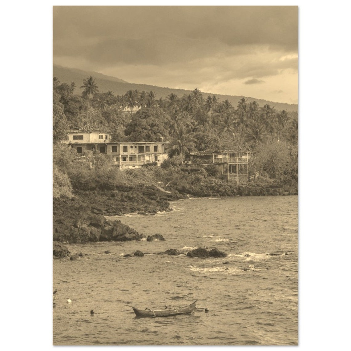 Vintage Sepia Tropical Coastline Palm Trees Ocean Photo Poster