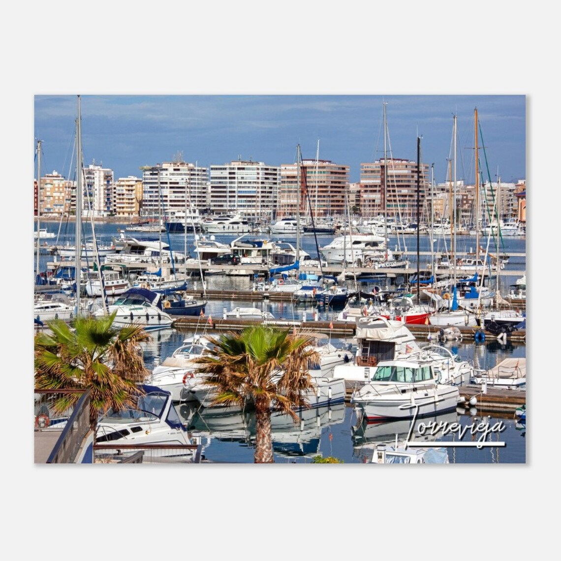 Torrevieja Spain Marina Sailboats Palms Coastal Travel Poster