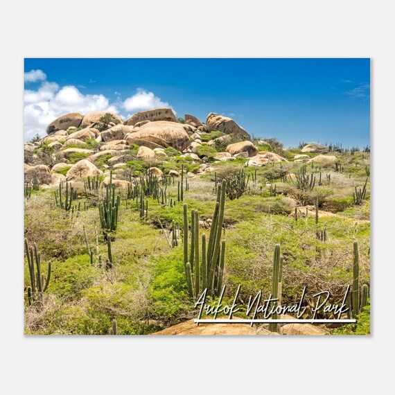 Arikok National Park Aruba Cactus Desert Rocky Hillside Poster