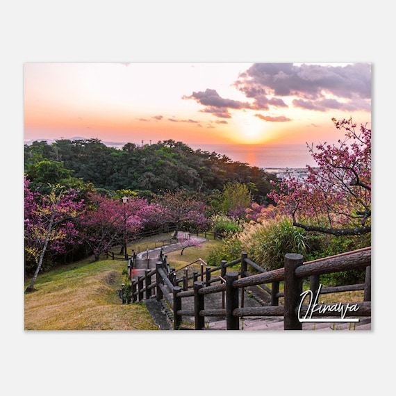 Okinawa Sunset Cherry Blossom Hill Path Ocean View Travel Poster