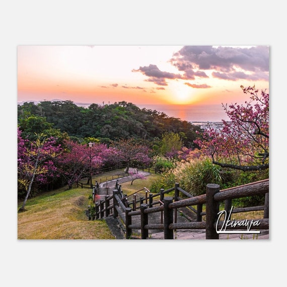 Okinawa Sunset Poster Pedestrian Bridge Cherry Blossoms