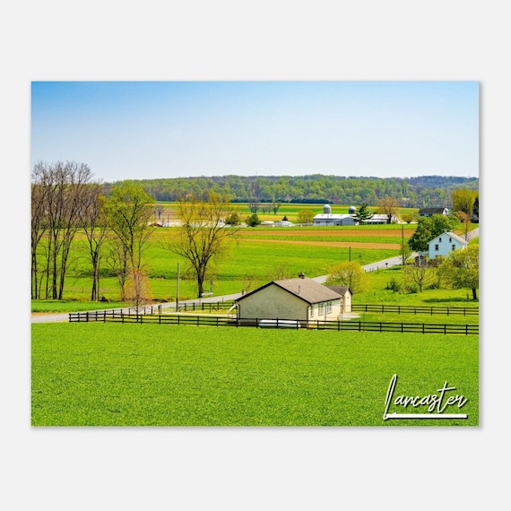 Lancaster Pennsylvania Amish Farm Country Green Fields Countryside Poster