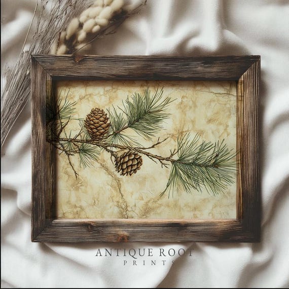 Winter Wall Art Pine Branch Print Vintage Botanical Illustration Cozy Farmhouse Decor Rustic Watercolor 181