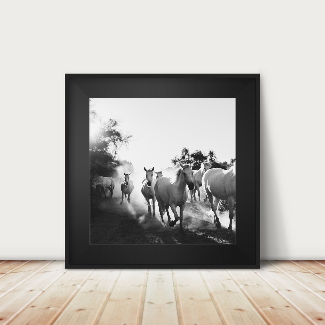 White Horses Galloping Dust Cloud Black White Photography Poster