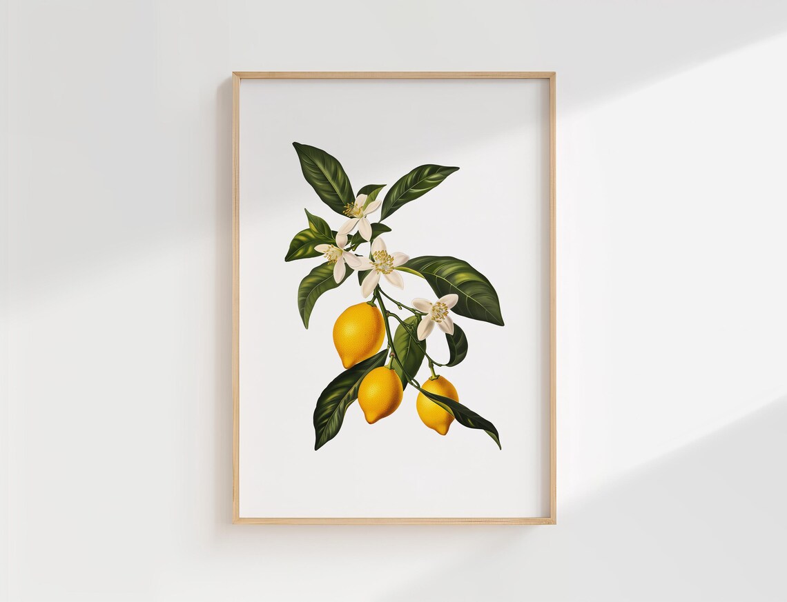 Lemon Botanical Wall Art Print Vintage Citrus Illustration For Kitchen Or Dining Room