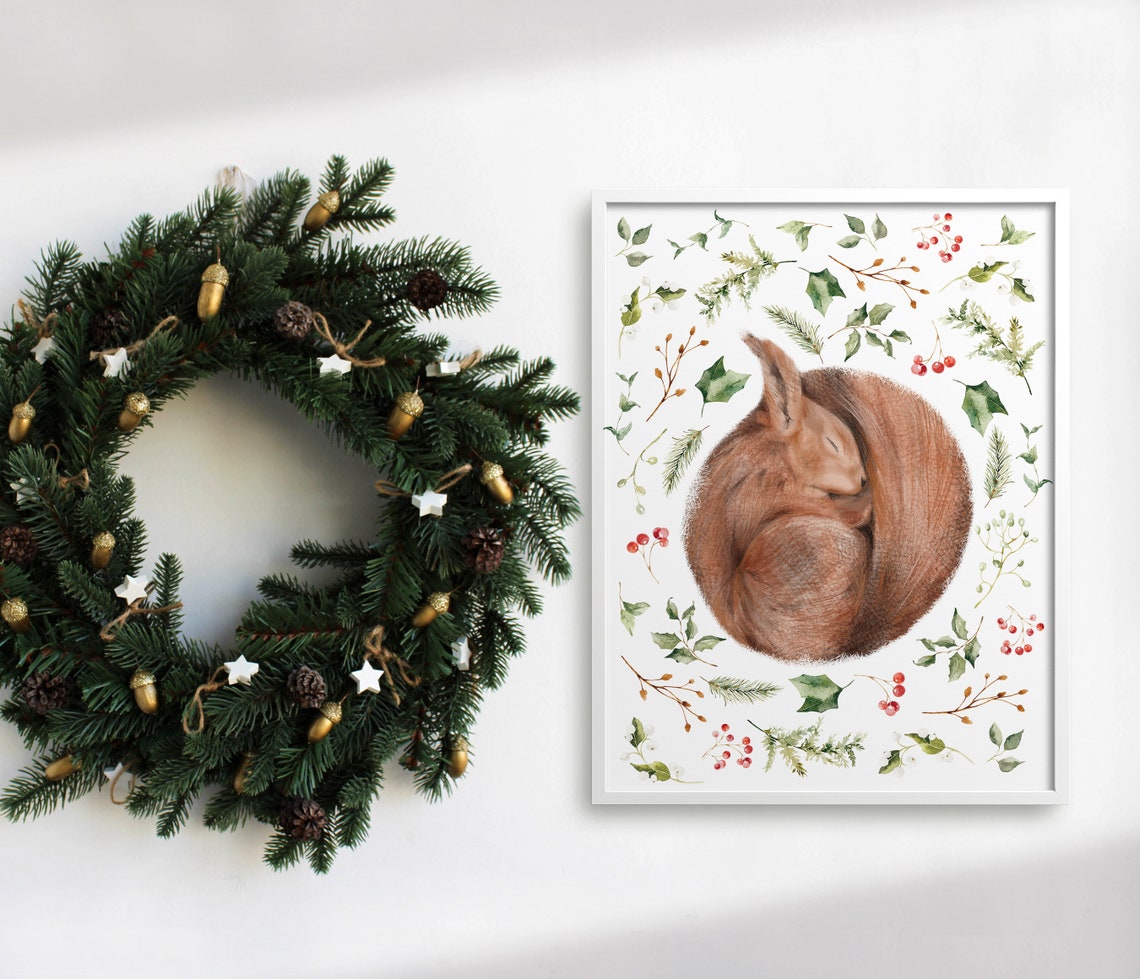 Sleeping Red Squirrel Curled In Botanical Holly Wreath Wall Art - Image 3