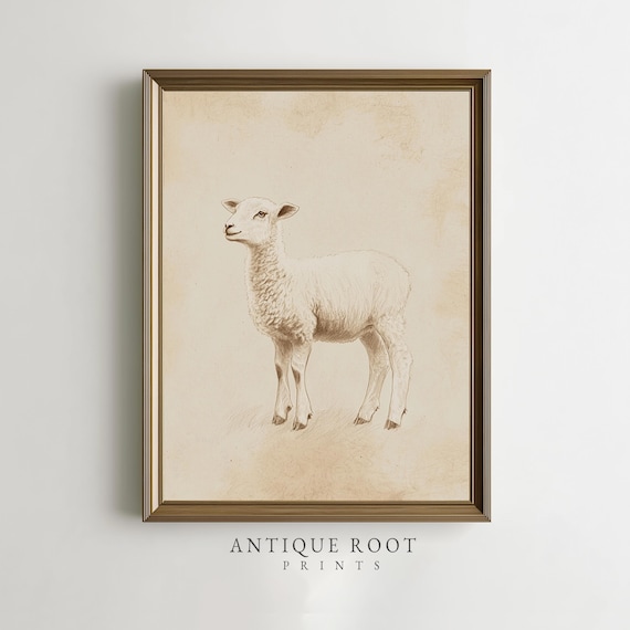 Vintage Lamb Sketch Poster Sepia Farm Animal Drawing Rustic Nursery