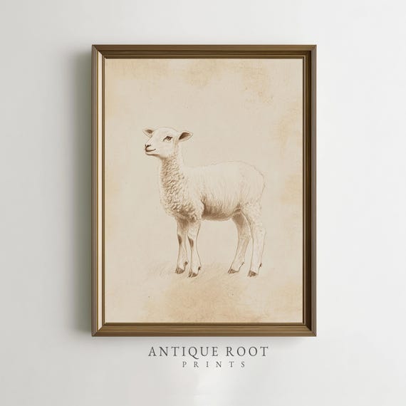 Vintage Lamb Sketch Rustic Farmhouse Animal Wall Art Neutral Minimalist Nursery Decor Cozy Cottage