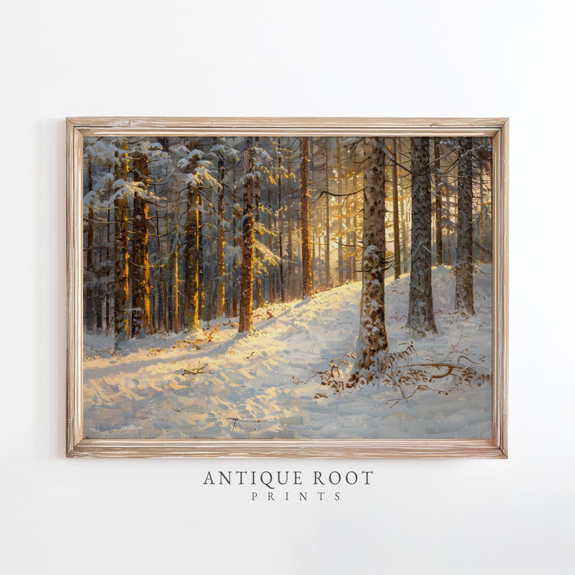 Sunlit Winter Forest Snowy Birch Pine Trail Moody Landscape Poster