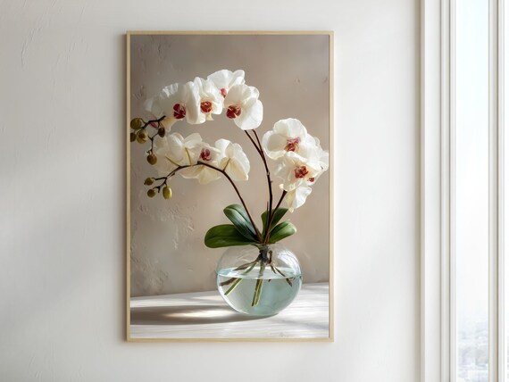 White Orchid Blossoms in a Glass Globe Vase Minimal Botanical Poster