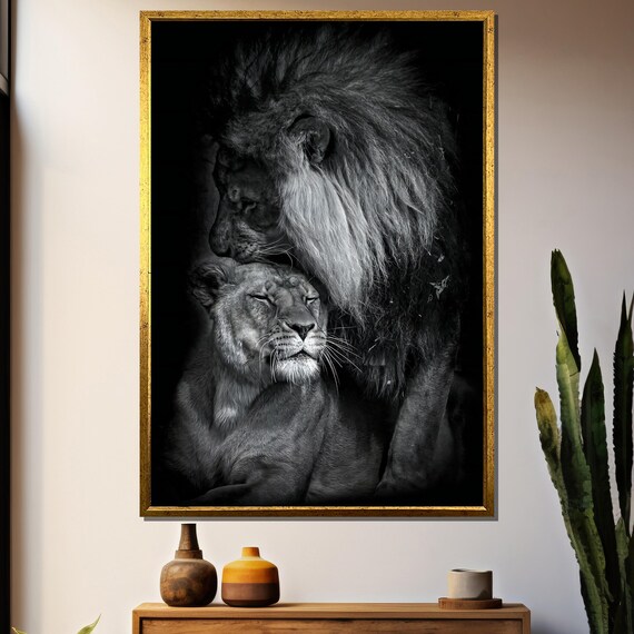 Black And White Lion Couple In Tender Nuzzle Intimate Wildlife Poster