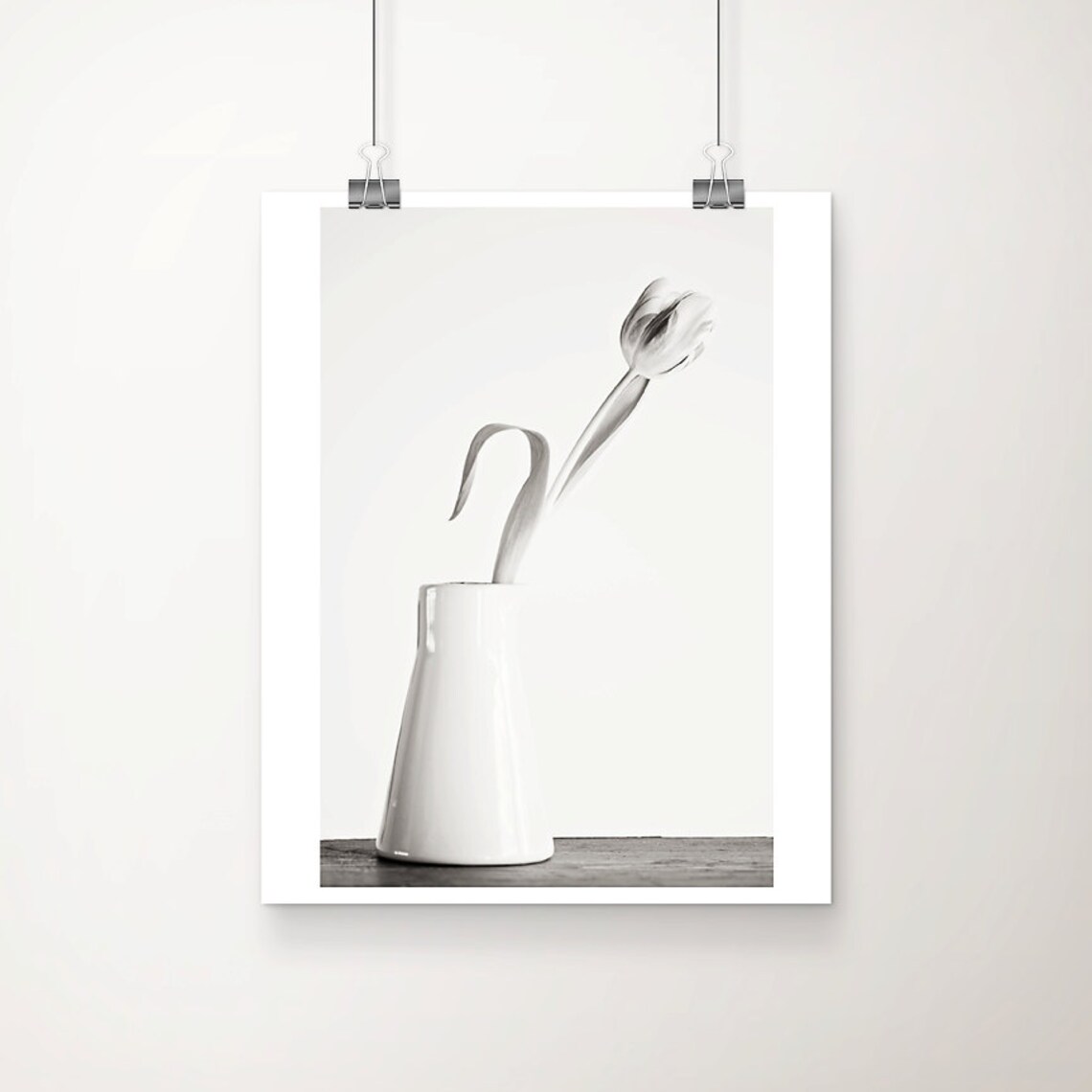 White Tulip Black And White Minimalist Floral Photography Print