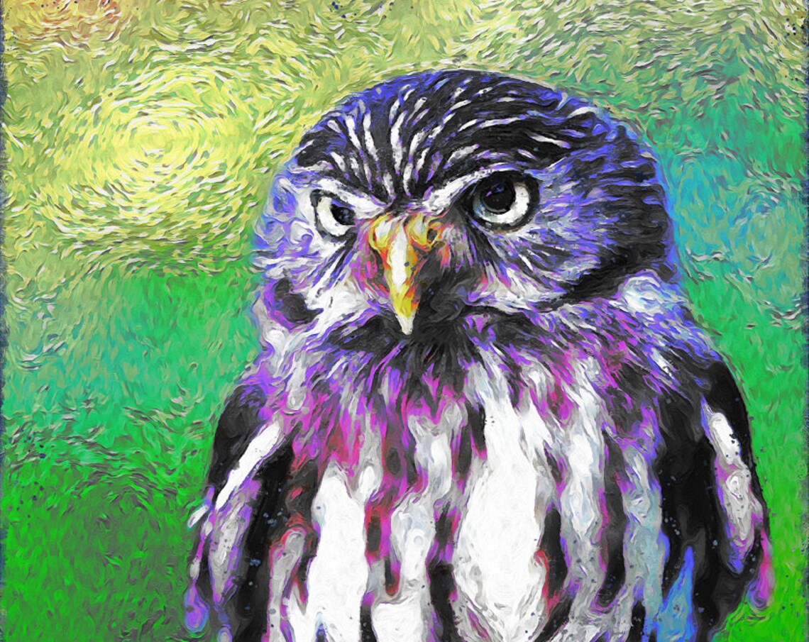 Owl Portrait Vibrant Purple Green Impressionist Wildlife Art Print