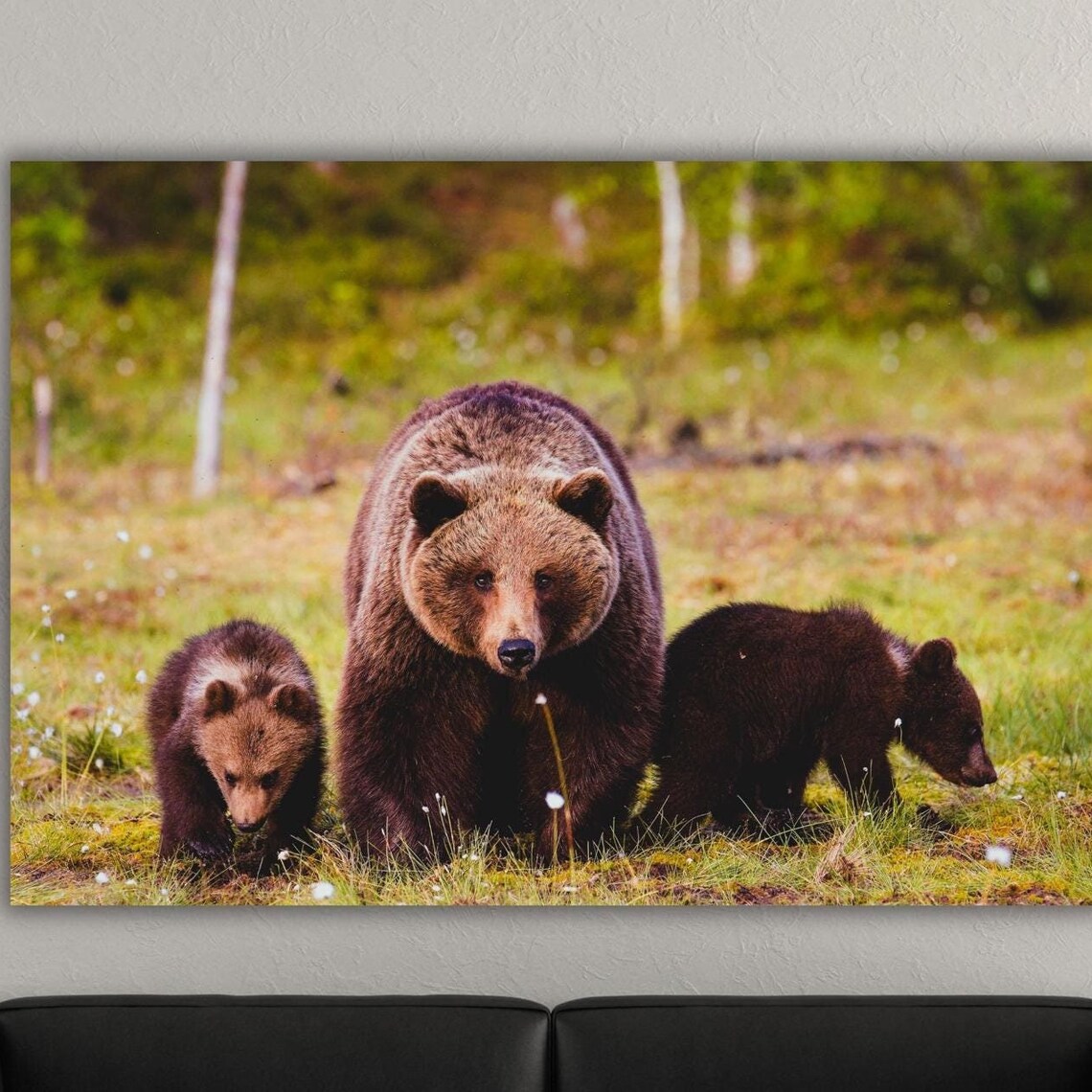 Brown Bear Mother Two Cubs Wildlife Forest Photography Art Poster