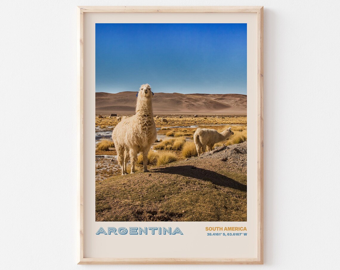 Argentina South America Two Llamas in Desert Highlands Poster