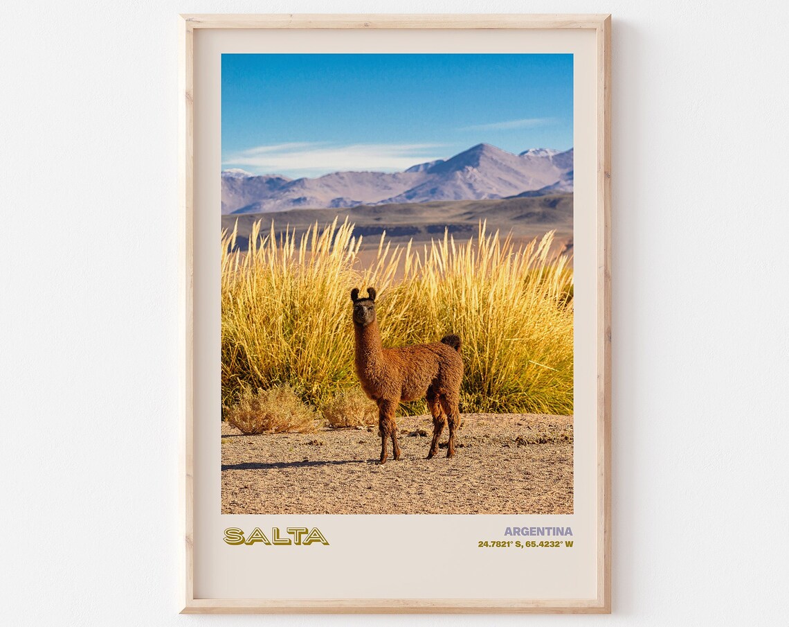 Salta Argentina Llama Standing in Desert With Mountains Poster