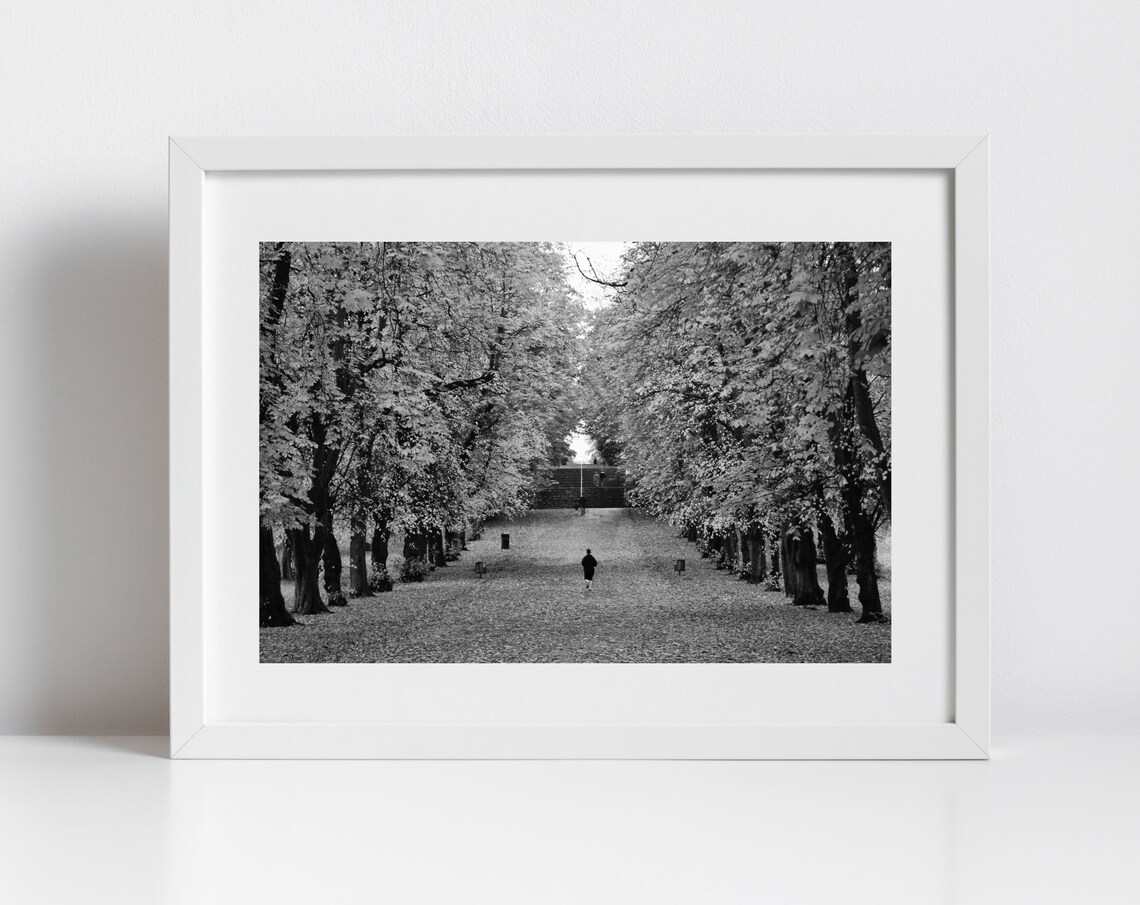 Glasgow Queens Park Autumn Foliage Art Print