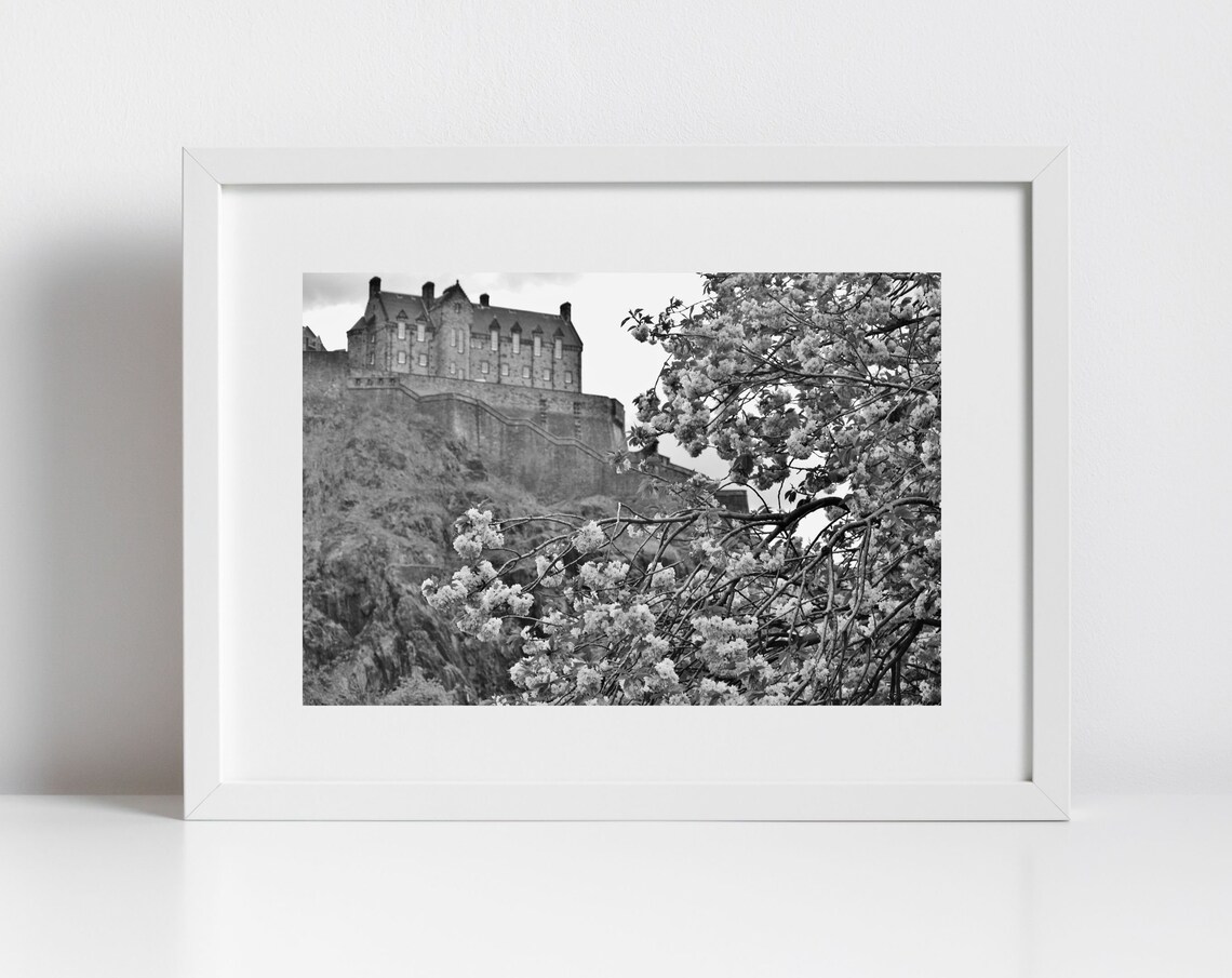 Edinburgh Castle Black And White Spring Blossom Photography Print