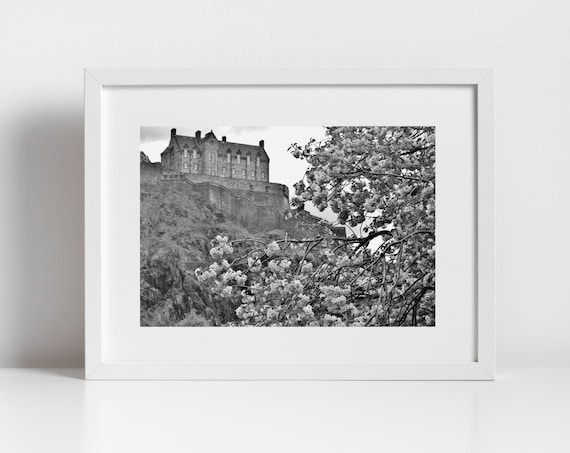 Edinburgh Castle Black And White Spring Blossom Photography Print