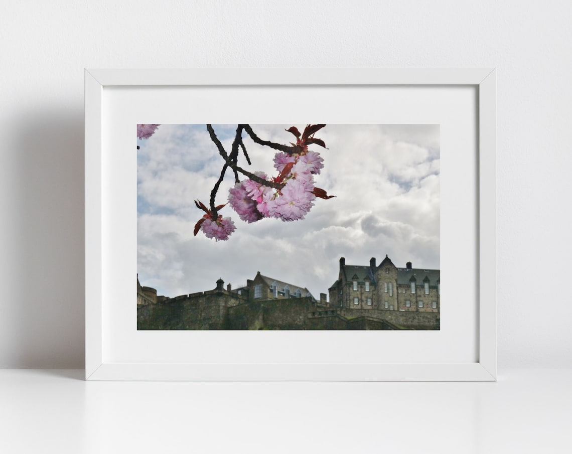 Edinburgh Castle Pink Cherry Blossom Spring Photography Print