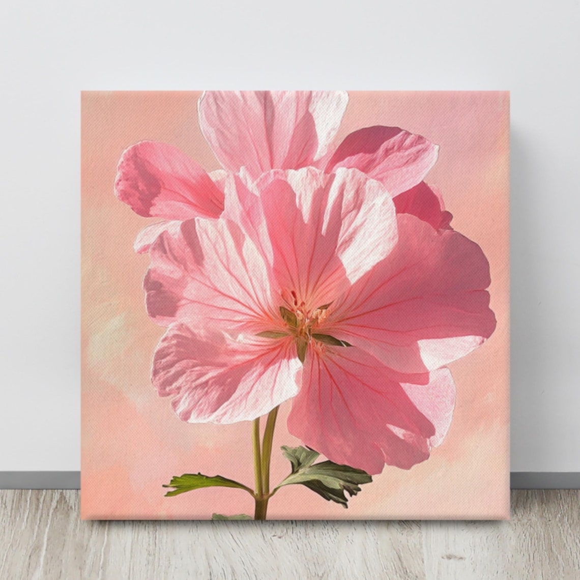 Pink Geranium Bloom Backlit Sunlight Glow Floral Art Canvas Poster